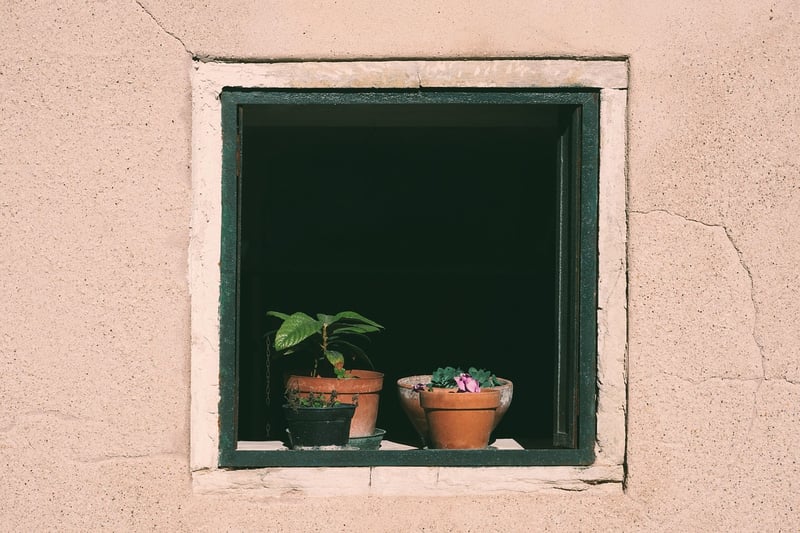 Life Insights